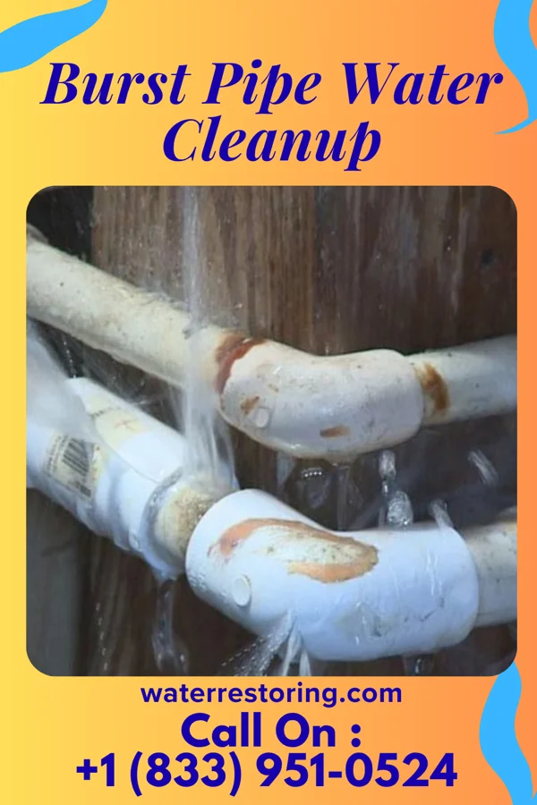 Burst Pipe Water Cleanup in White Rock, SD